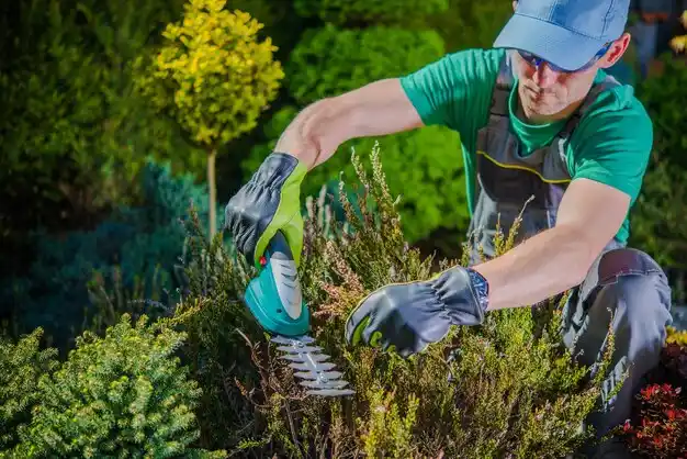 landscaping services Endwell